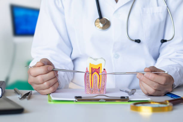 Best Emergency Dental Care for Broken or Chipped Teeth in Stroud, OK
